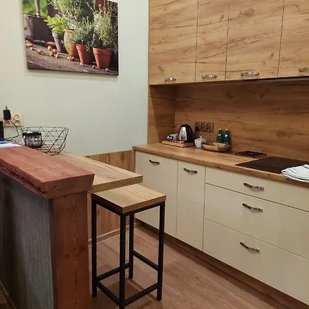 Copernicus Prestige Apartment Olsztyn (Warmian-Masurian)