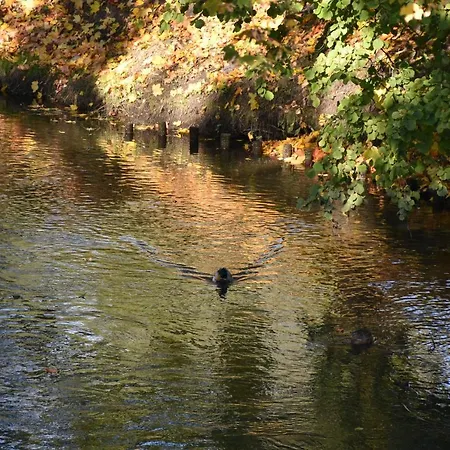 Copernicus Prestige Olsztyn (Warmian-Masurian)