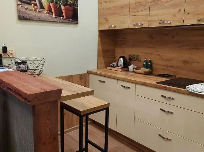 Copernicus Prestige Apartment Olsztyn (Warmian-Masurian)