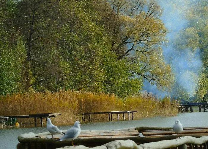 Copernicus Prestige * Olsztyn