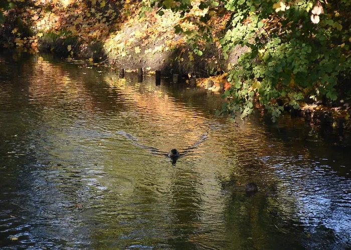 Copernicus Prestige Olsztyn